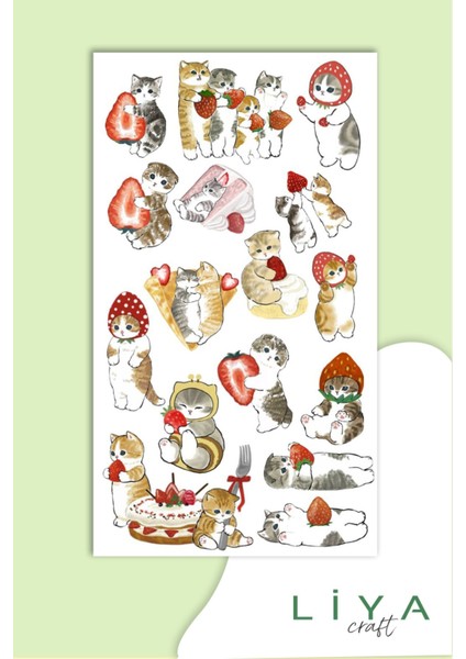 5'li Sevimli Kedi Sticker Set
