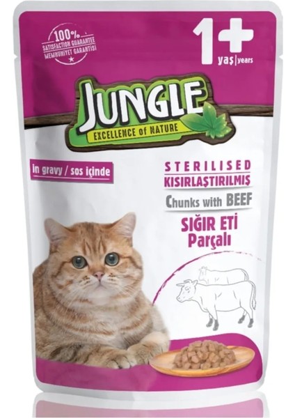 Kısır Kedi Biftekli 100 G Pouch