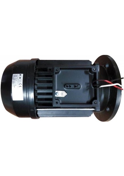 Havuz Pompası Ön Filtreli- STRN-100M 1 Hp fiyatları