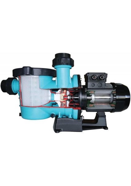 Havuz Pompası Ön Filtreli- STRN-100M 1 Hp