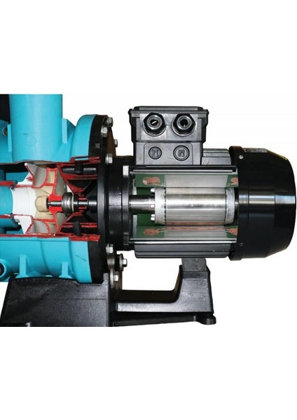 Havuz Pompası Ön Filtreli- STRN-100M 1 Hp