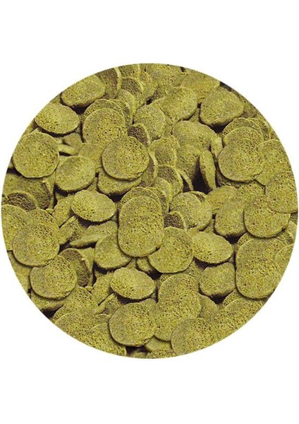 Wels Chips Nature 500GR