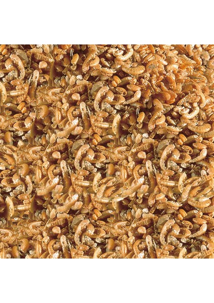 Raffy I Kaplumbağa Yemi 100GR