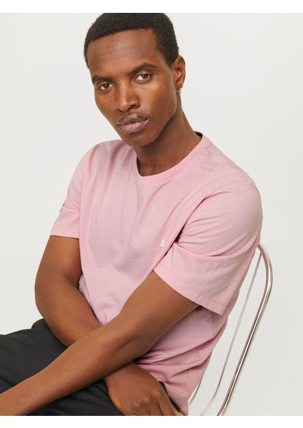 Jjepaulos Tee Ss Crew Neck Noos 12245087 indirimleri