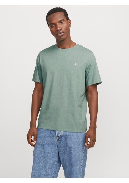 Jjepaulos Tee Ss Crew Neck Noos 12245087 indirimleri