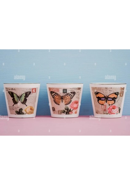 Kelebek Tasarımlı Renkli Dekoratif Saksı Seramik Çiçeklik Eğlenceli Yükseklik 8cm Çap 10CM 1 Adet indirimleri