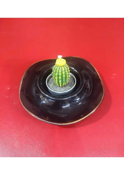 Sarı Mini 5,5x3,5 cm Kase Lokumluk Reçellik Tealightlık Mumluk Cam Kaktüs Tealight Mum 1 Adet