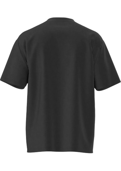 Apexıum Loose Ss