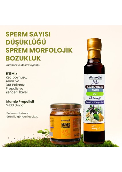 Sper-M Sayısı Düşüklüğü ve Sper-M Morfolojik Bozukluk Destek Seti