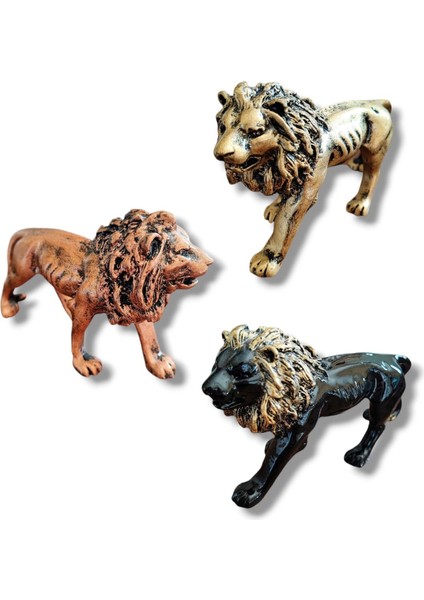 Aslan Kral 3 Lü Set Biblo