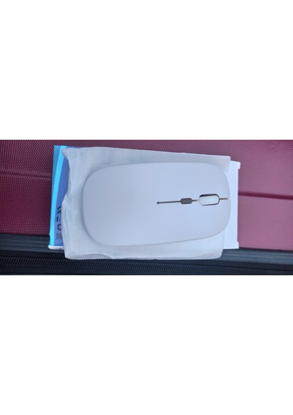 Brijo ivo Tech Sessiz Tıklama Şarjlı Çift Modlu Bluetooth Kablosuz 2.4ghz Beyaz Mouse