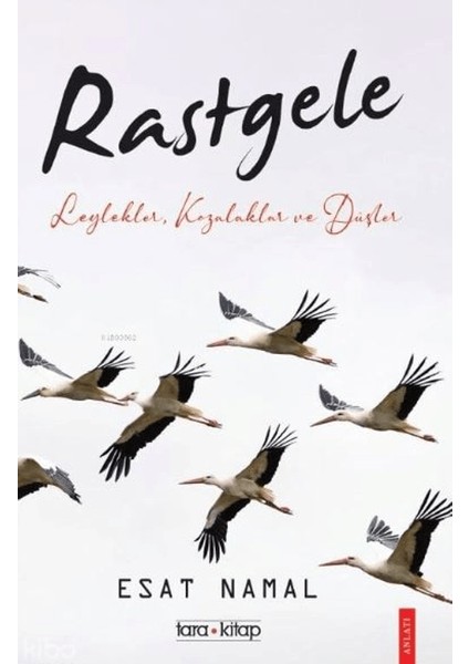 Rastgele; Leylekler, Kozalaklar ve Düşler