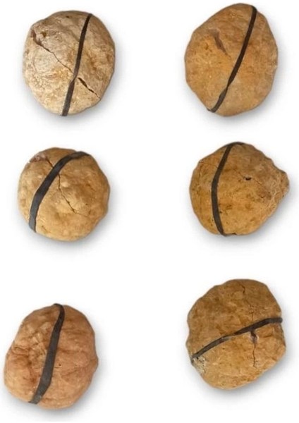 Afrika Kalsit Kristali Jeot Doğal Parça 32-Jk