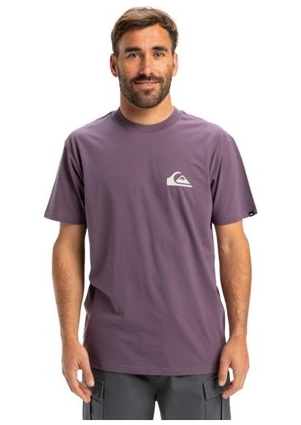 EQYZT08042-PQC0 Ev Mini Logo Ss Erkek Spor Tişört