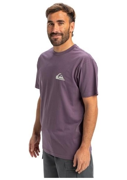 EQYZT08042-PQC0 Ev Mini Logo Ss Erkek Spor Tişört