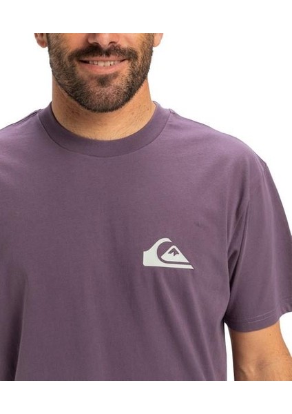 EQYZT08042-PQC0 Ev Mini Logo Ss Erkek Spor Tişört