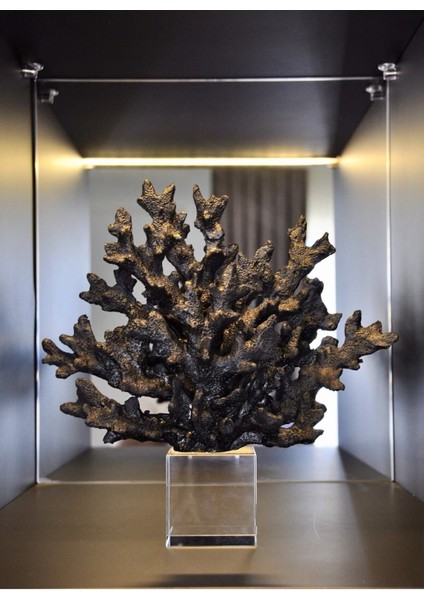 Dekoratif Kristalli Siyah Mercan Aksesuar