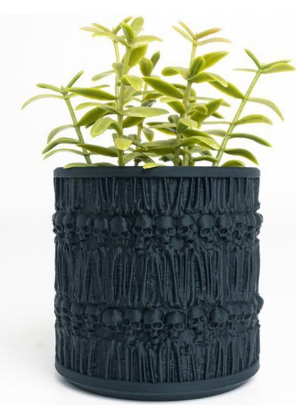 Dekoratif Saksı 15CM