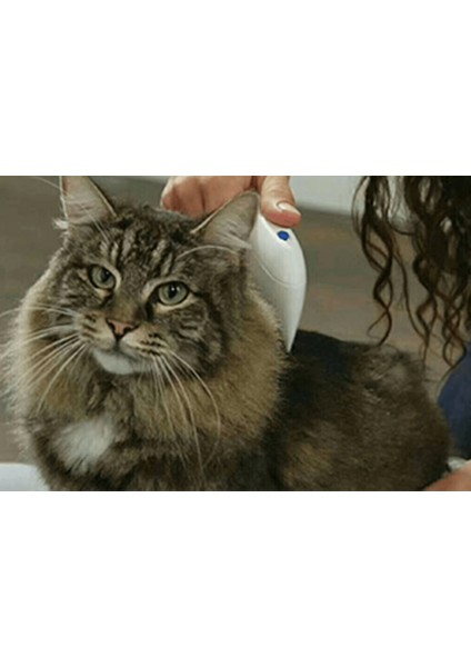 Kedi Köpek Pire Temizleyici Pire Tarağı Flea Doctor ( Lisinya ) fiyatları