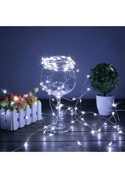 Pilli 5 Metre Dekoratif Peri LED Beyaz Aydınlatma Süsleme Lambası ( Lisinya )