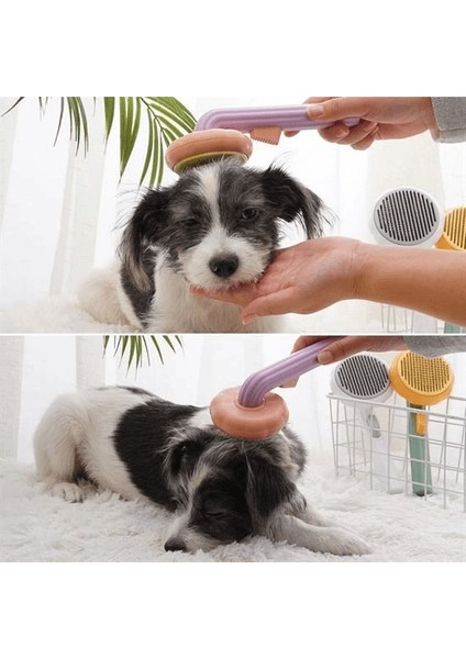 Plastik Yeşil Evcil Hayvan Bakım Pet Fırçası Çok Amaçlı Pet Fırçası Yeşil ( Lisinya ) fiyatları