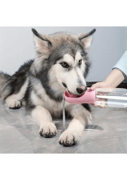 Taşınabilir Evcil Hayvan Suluğu Seyahat Kabı Kilitlenebilen Su Sızdırmaz Kap 350 ml ( Lisinya ) fiyatları