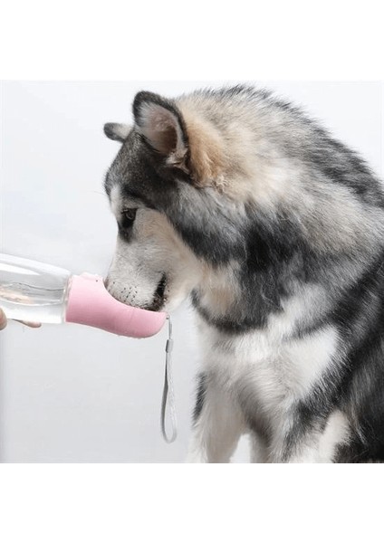 Taşınabilir Evcil Hayvan Suluğu Seyahat Kabı Kilitlenebilen Su Sızdırmaz Kap 350 ml ( Lisinya ) modelleri