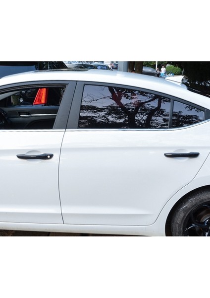 Hyundai Elantra 2017-2020 Için Karbon Fiber Araba Kapı Kolu Kapak Trim Etiket (2 Düğme) (Yurt Dışından) modelleri