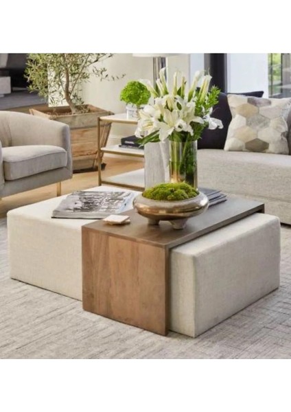 Puflu Orta Sehpa fiyatları