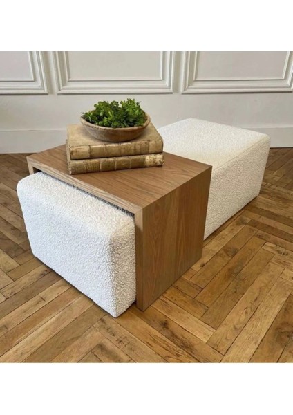 Puflu Orta Sehpa modelleri