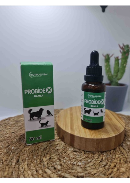 Nutra Probıdex 20ML Kedi, Köpek Agız Kokusu ve Bağıırsak Sorunları