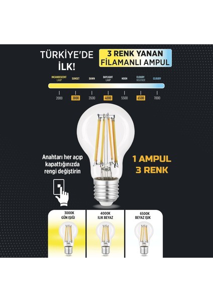3 Renkli LED Filament Rustik Ampul 6W E27 A60 ERD-261 fiyatları