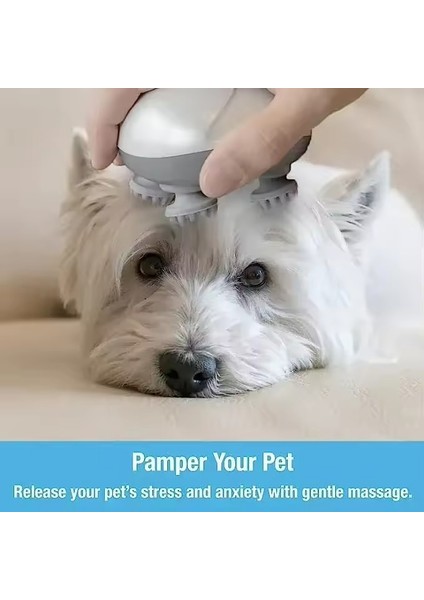 Baş Masaj Aleti Yüz Masajı Şarjlı Fizyoterapi Kedi ve Köpek ile Masaj Rahatlatma Dinlendirici Massage Portatif Ergonomik Tasarım OSK-701