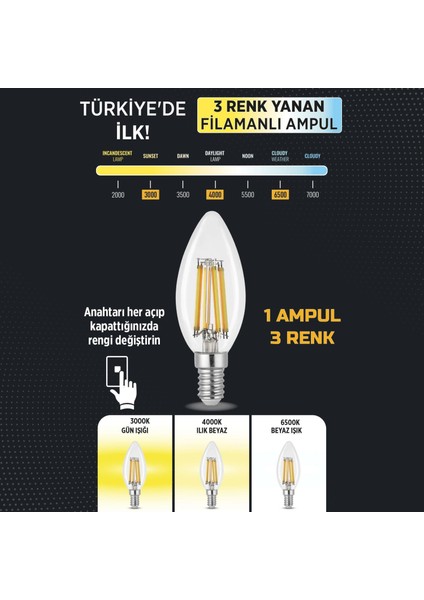 3 Renkli LED Filament Rustik Ampul 6W E14 C35 ERD-260