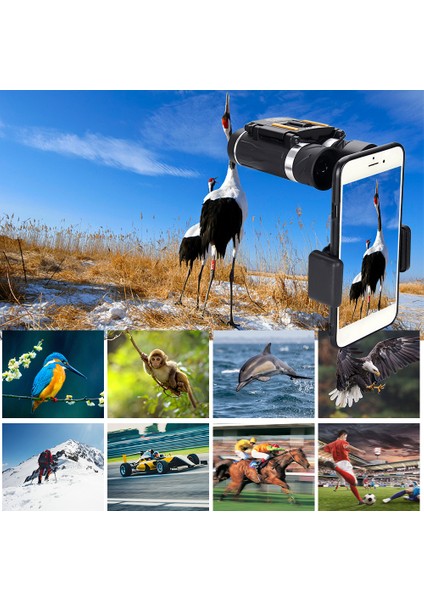 Xixishop 200X22 Seyahat Sporları Için Telefon Adaptörlü Kompakt Katlanır Cep Dürbünü (Yurt Dışından) fiyatları