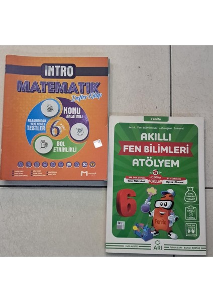 6.sınıf Yeni Müfredat Mozaik Matematik Intro- Arı Atölyem Fenbilgisi