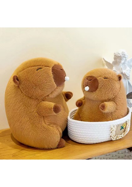 50CM Kirpi Balığı Bebek Peluş Oyuncak Yastık Bebek Tatil Hediyesi (Yurt Dışından)