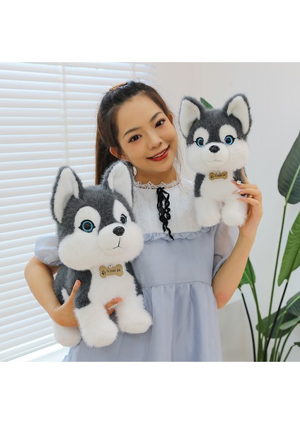 40CM Peluş Oyuncak Bebek Yastık Hediyesi (Yurt Dışından)