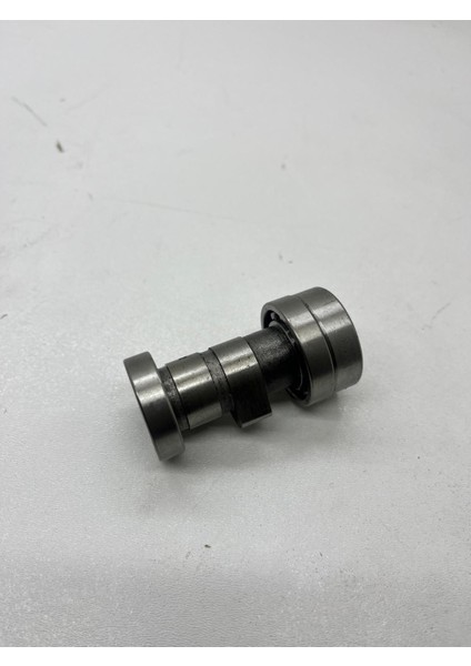 Cup Egzantirik Mili Kısa