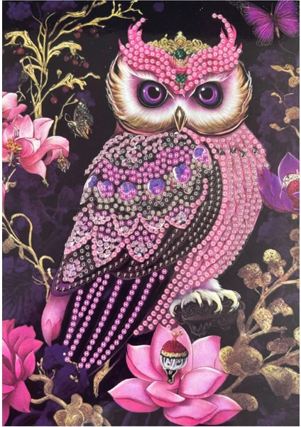 Dıy 5d Elmas Taş Işleme Kiti Tablo 15X20 Baykuş