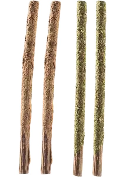 Kedilerin Bayıldığı Naneli ve Gall Meyveli Matatabi Stick 4'lü