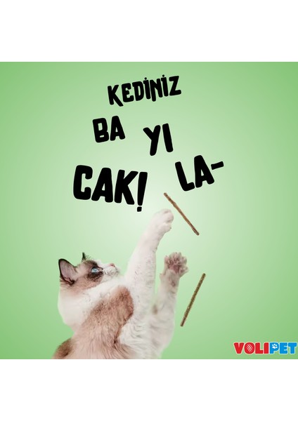 Kedilerin Bayıldığı Naneli ve Gall Meyveli Matatabi Stick 4'lü modelleri