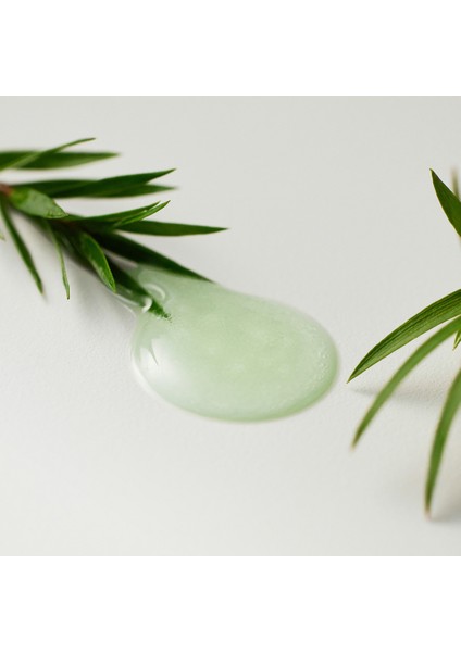 Aha Bha Pha 30 Days Miracle Serum - Çay Ağacı Centella Serumu