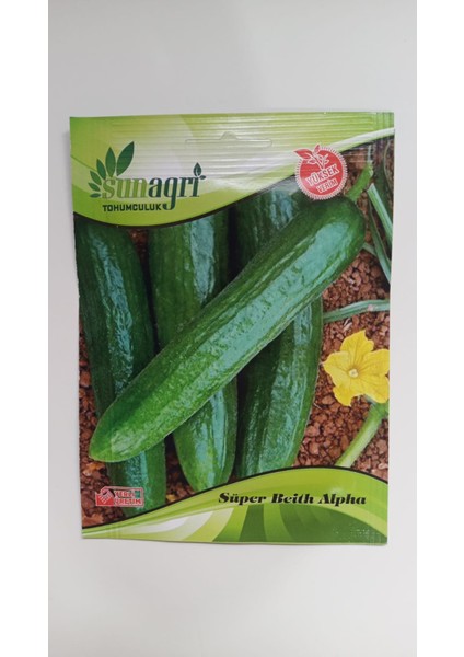 Sunagri Beith Alpha Salatalık Tohumu - Yüksek Verimli Lezzetli Açık Tarla İçin