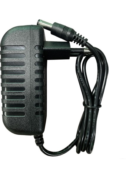 12V 1A Güç Adaptörü 15W Güç Kaynağı Adaptörü Ses Yönlendirici LED Şerit Işık Ab Fişi (Yurt Dışından) fırsatları