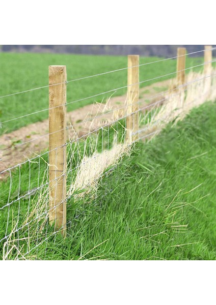 1/16 Inç x 500 Feet Tel Halat Kablo, Dış Mekan Çamaşır Ipi Için Örgülü Tel Örgülü Halat Uçak Kablosu, Kafes, (Yurt Dışından) indirimleri