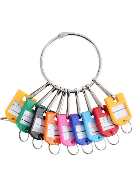 Taşınabilir Metal Halka Anahtar Düzenleyici 10 Yaylı Kanca ve Anahtar Etiketli (Yurt Dışından)