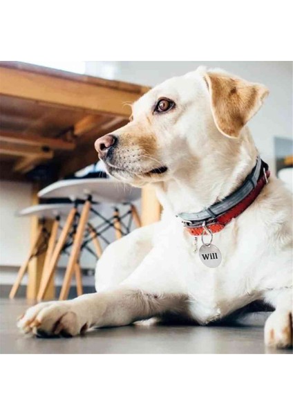 55 Adet Metal Damgalama Boş Etiketler (Yurt Dışından) fırsatları