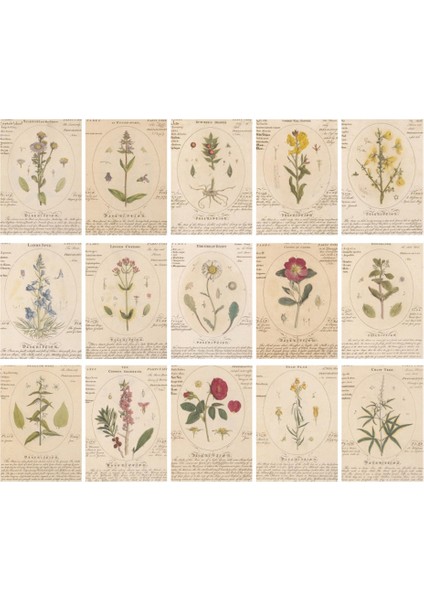 Retro Ilham Serisi Retro El Kitabı Dekoratif Destek Kağıdıf (Yurt Dışından)