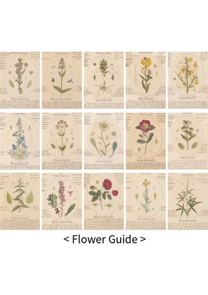 Retro Ilham Serisi Retro El Kitabı Dekoratif Destek Kağıdıf (Yurt Dışından) fiyatları